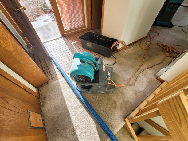Water damage restoration mold remediation in Falcon Heights, MN