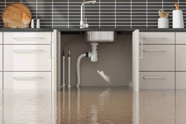 Falcon Heights, MN Water damage restoration Company