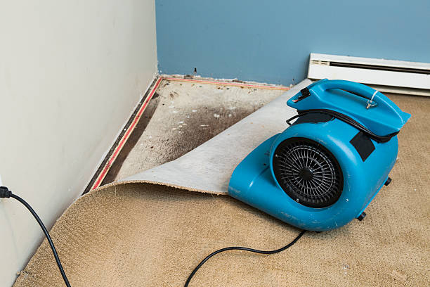 Sewage cleanup and water damage restoration in Falcon Heights, MN